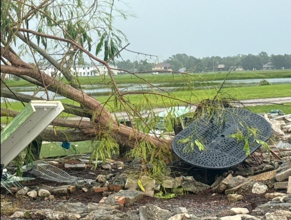 Fallen tree and debris on a rocky ground near a body of water.