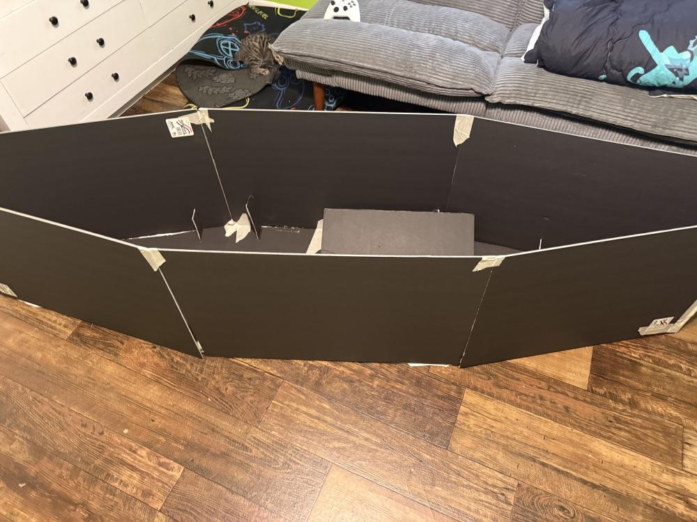 Large cardboard box structure taped together on wooden floor, near a sofa.