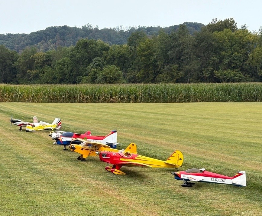 Colorful model airplanes line up on a grassy field with trees in the background.