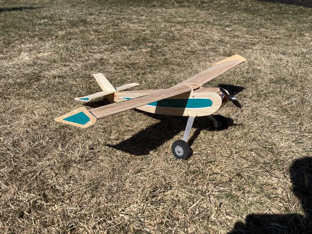 Model airplane on dry grass under bright sunlight.