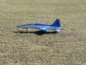 Model jet on grass field, painted blue and white with Navy markings.