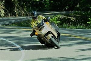Motorcyclist in yellow jacket riding through a forested winding road.