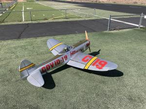 Model plane on grass, painted with "COVID-19" and a red "19," near a runway.